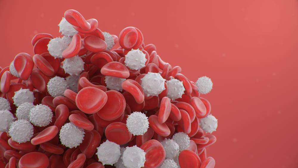 imagine cu mai multe leucocite amestecate cu globule roșii